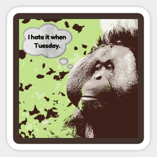 I hate it when Tuesdays orangutan Sticker